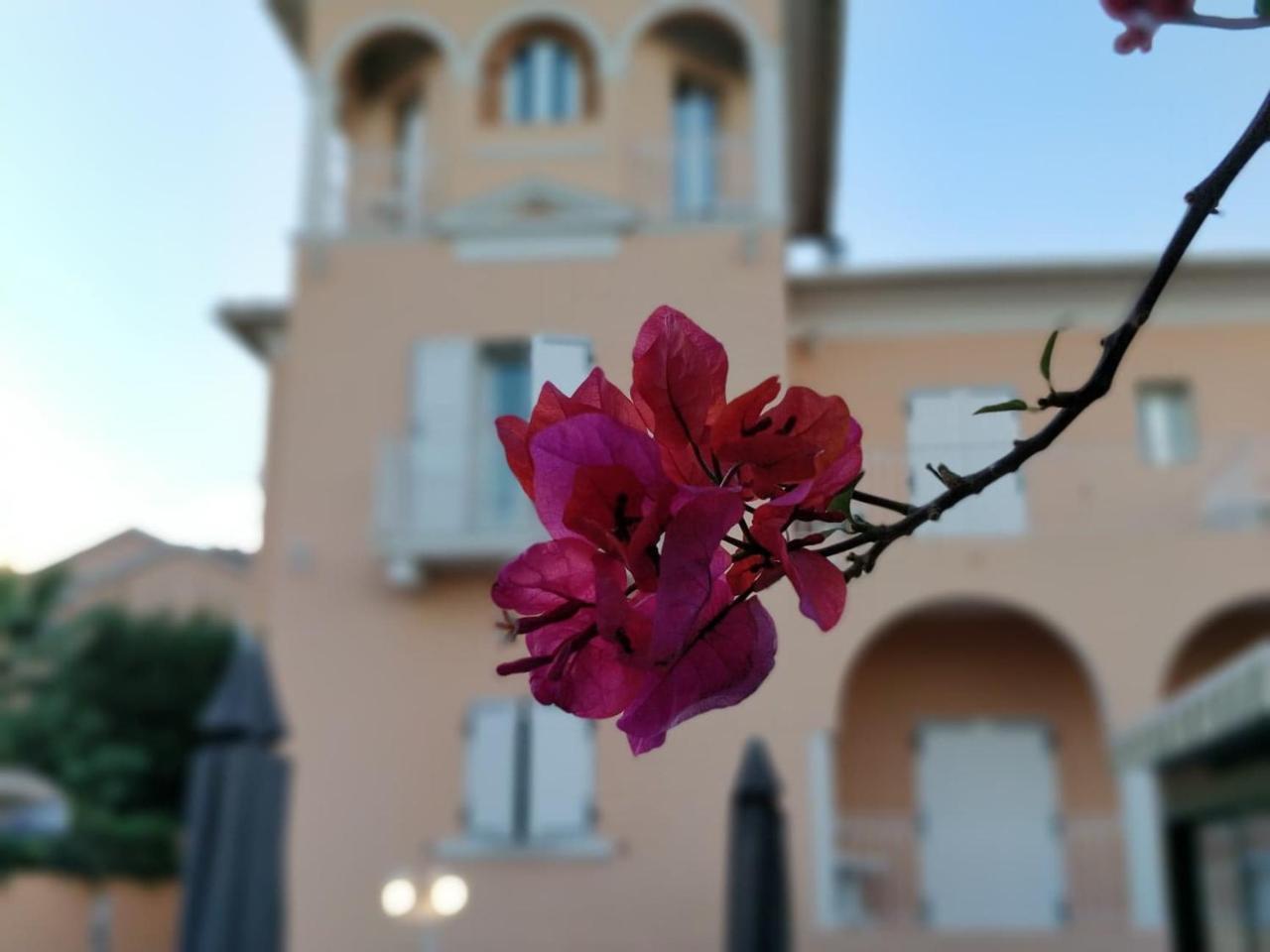 Hotel Et Appartements Reine D'Azur 罗克布吕讷-卡普马丹 外观 照片